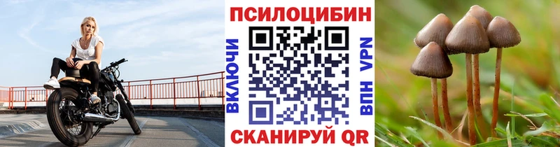 Галлюциногенные грибы мухоморы  Ковров 